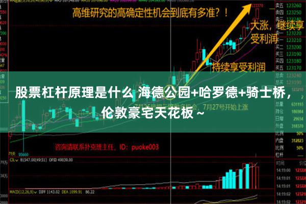 股票杠杆原理是什么 海德公园+哈罗德+骑士桥，伦敦豪宅天花板～