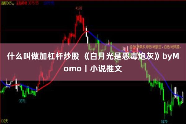 什么叫做加杠杆炒股 《白月光是恶毒炮灰》byMomo丨小说推文