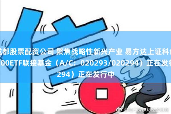 成都股票配资公司 聚焦战略性新兴产业 易方达上证科创板100ETF联接基金（A/C：020293/020294）正在发行中