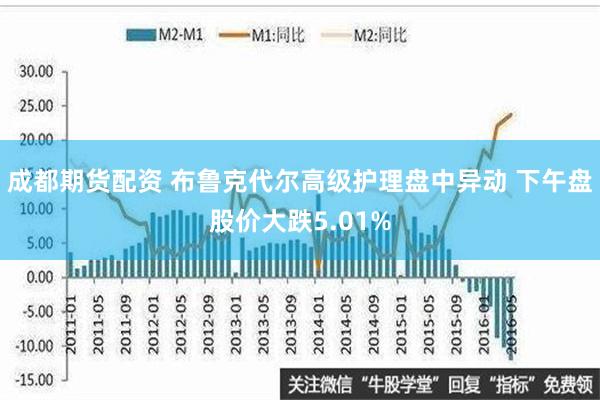 成都期货配资 布鲁克代尔高级护理盘中异动 下午盘股价大跌5.01%