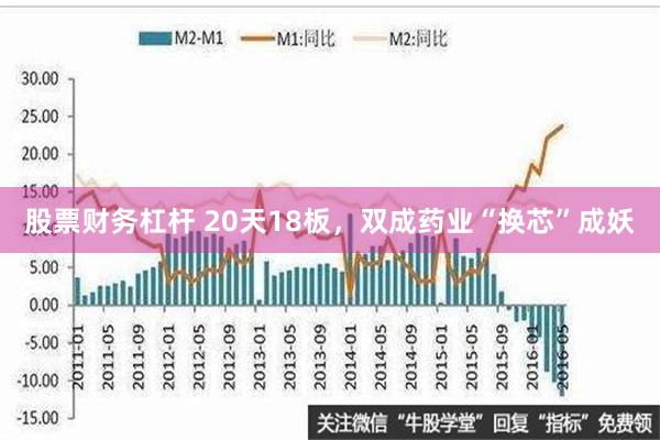 股票财务杠杆 20天18板，双成药业“换芯”成妖