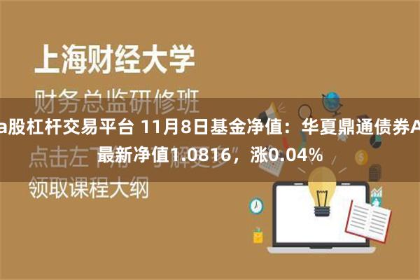 a股杠杆交易平台 11月8日基金净值：华夏鼎通债券A最新净值1.0816，涨0.04%