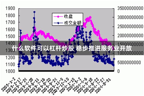 什么软件可以杠杆炒股 稳步推进服务业开放