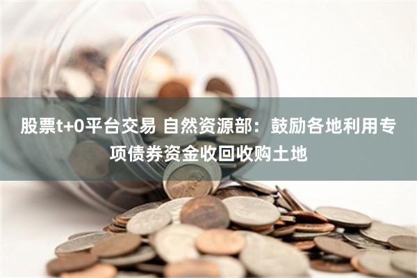 股票t+0平台交易 自然资源部：鼓励各地利用专项债券资金收回收购土地